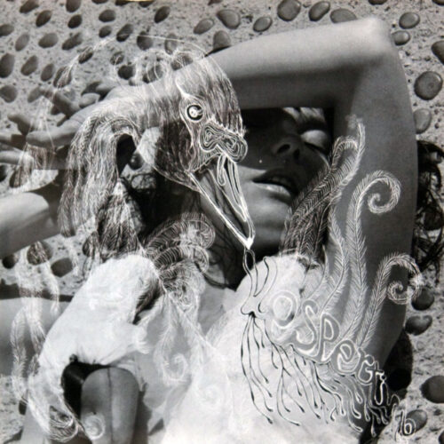 CD-Bjork-Vespertine Jpg