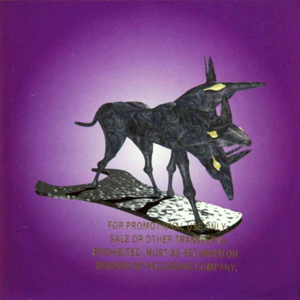 CD-BlackDog-Spanners Jpg