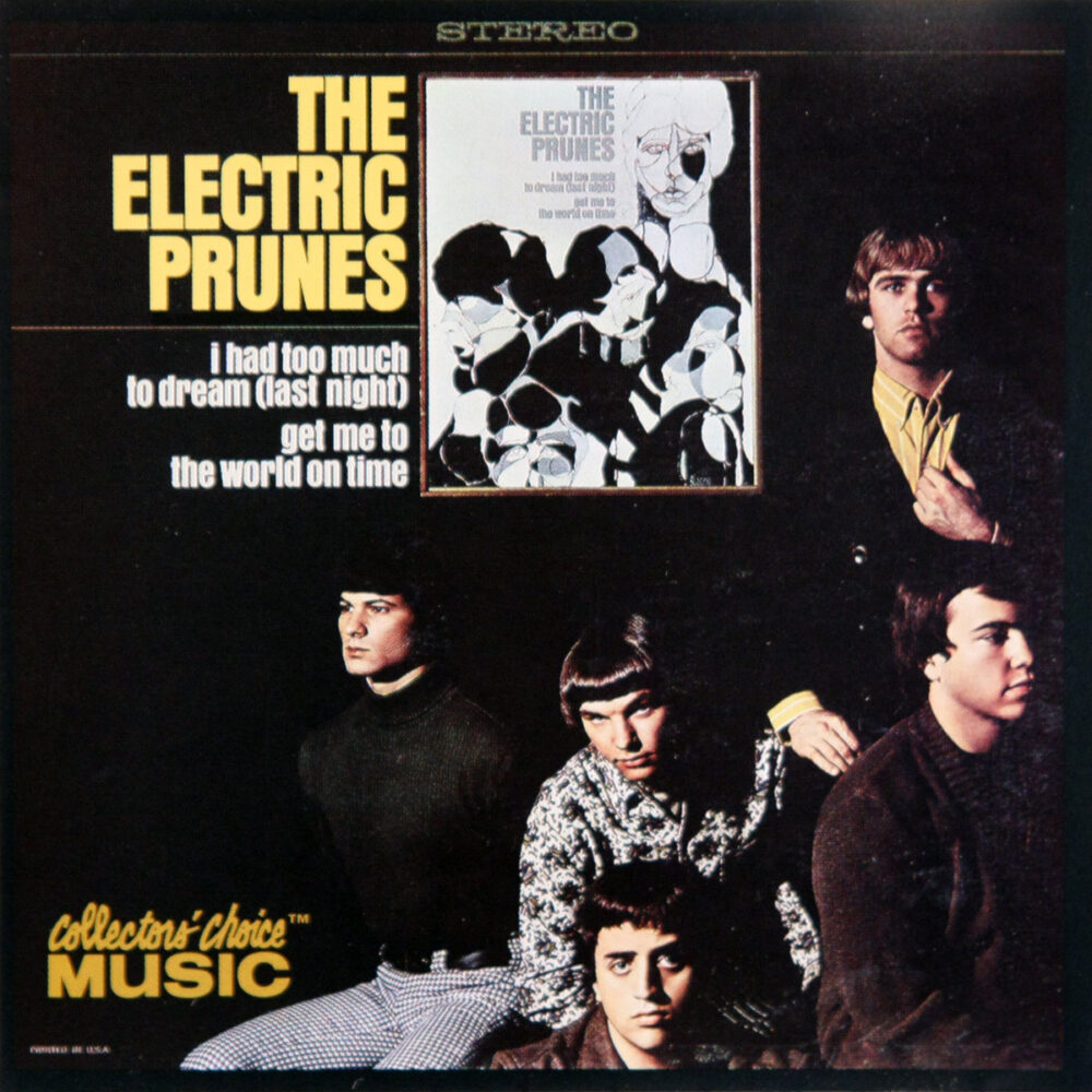 CD-ElectricPrunes-TooMuchToDrink Jpg