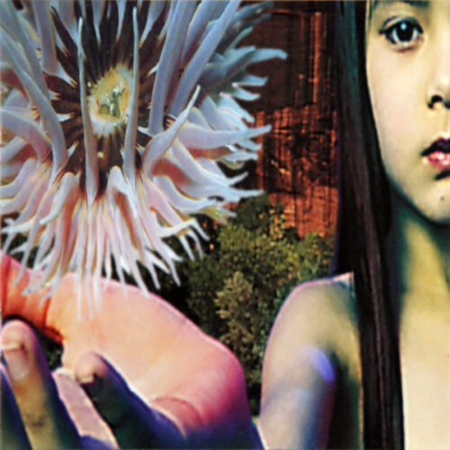 CD-FSOL-LifeForms Jpg