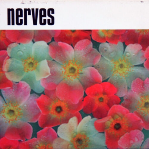 CD-Nerves-ST Jpg