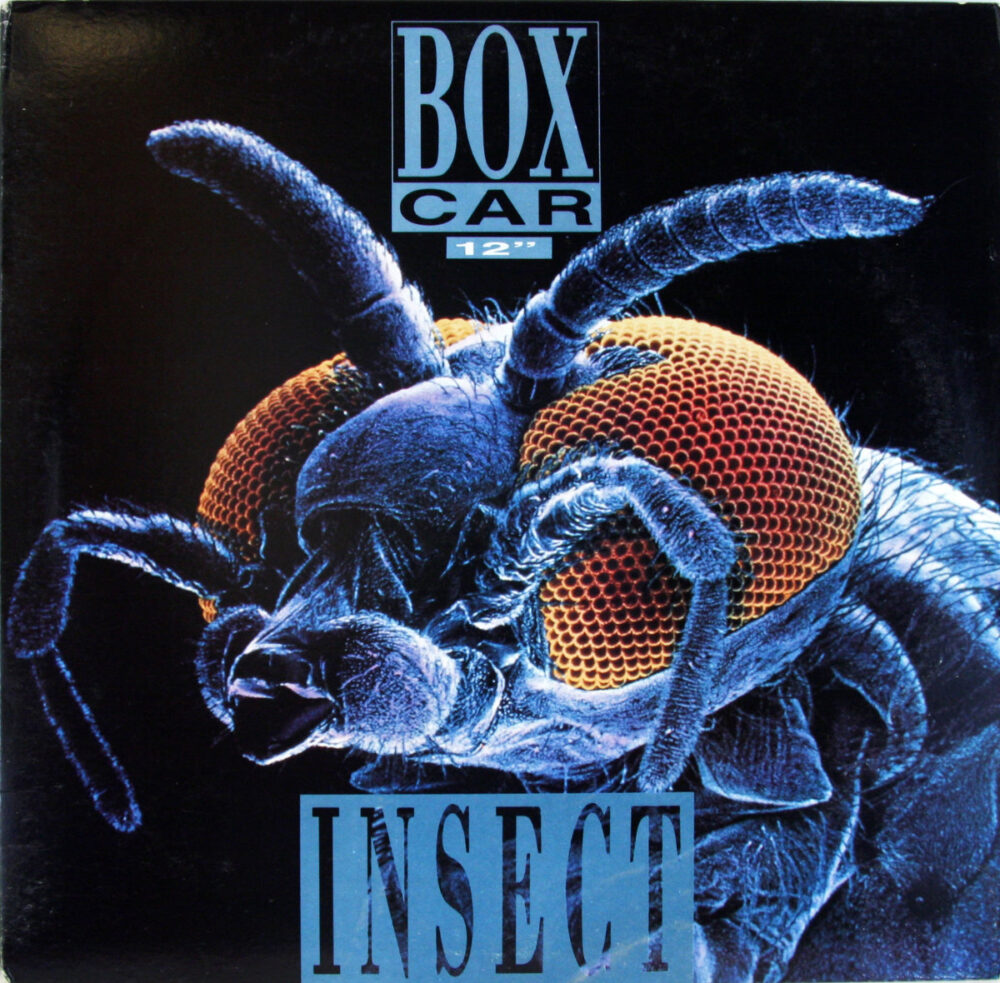 LP-BoxCar-Insect Jpg