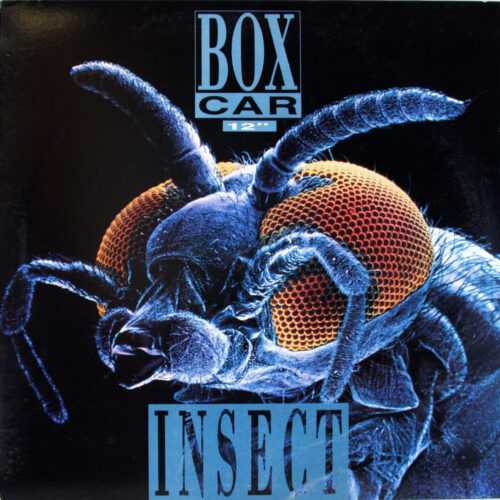 LP-BoxCar-Insect Jpg