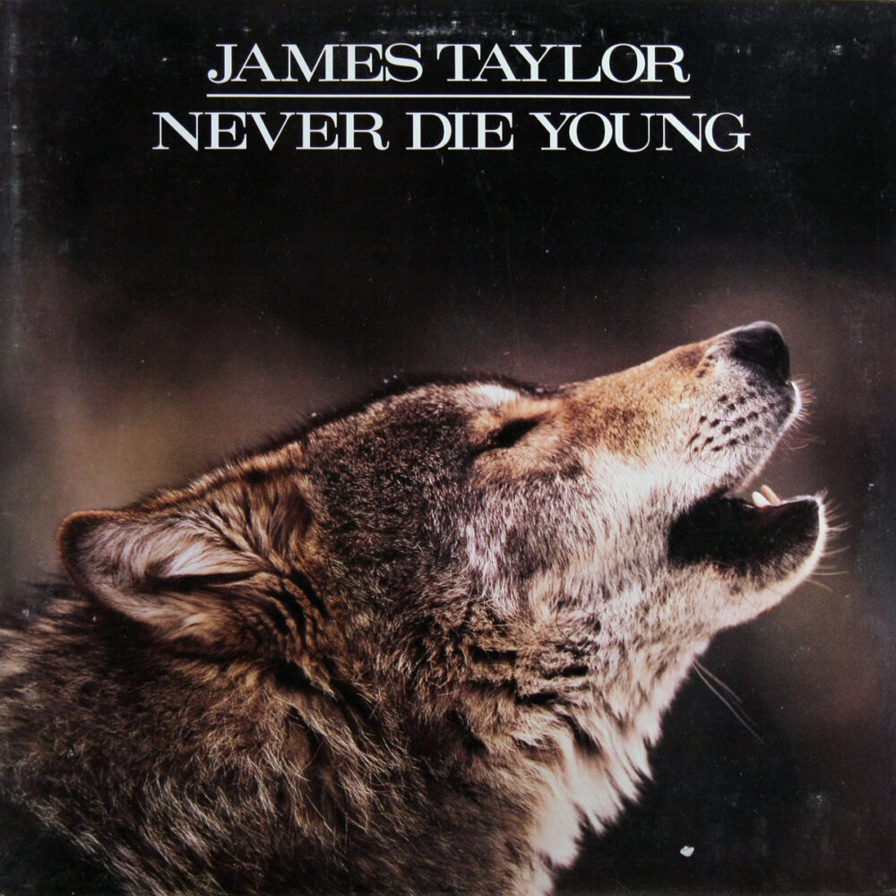 LP-JamesTaylor-NeverDieYoung Jpg