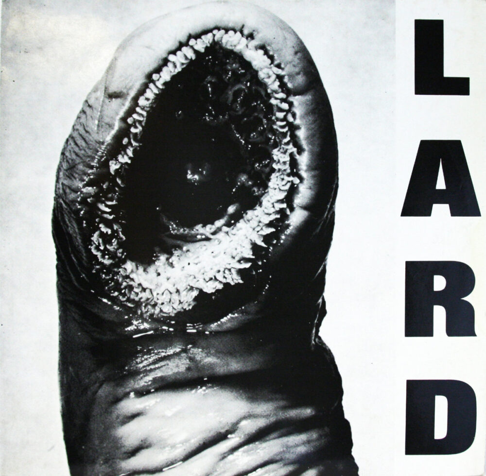 LP-Lard Jpg