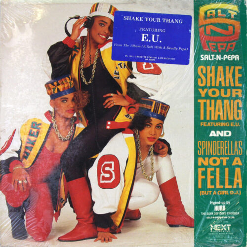 LP-SaltNPepa-ShakeYourThang Jpg